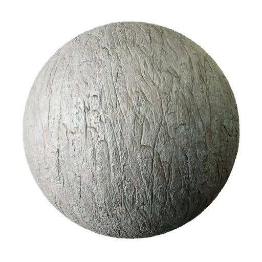 2K PBR Weathered Silver Tree Wood texture with displacement for realistic material rendering in Blender 3D and other CGI applications.