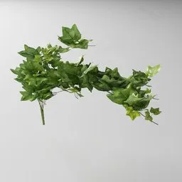 "Artificial tendril Ivy 3D model for Blender 3D - nature indoor category. Perfect for videogame assets and realistic nature scenes. Created using the Bagapia addon and inspired by Mary Beale and midsommar style."