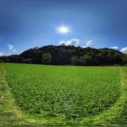 Fields during the day