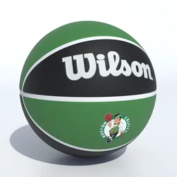 Wilson Boston Celtics Basketball