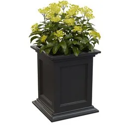 Potted Yellow Flower in Square Planter