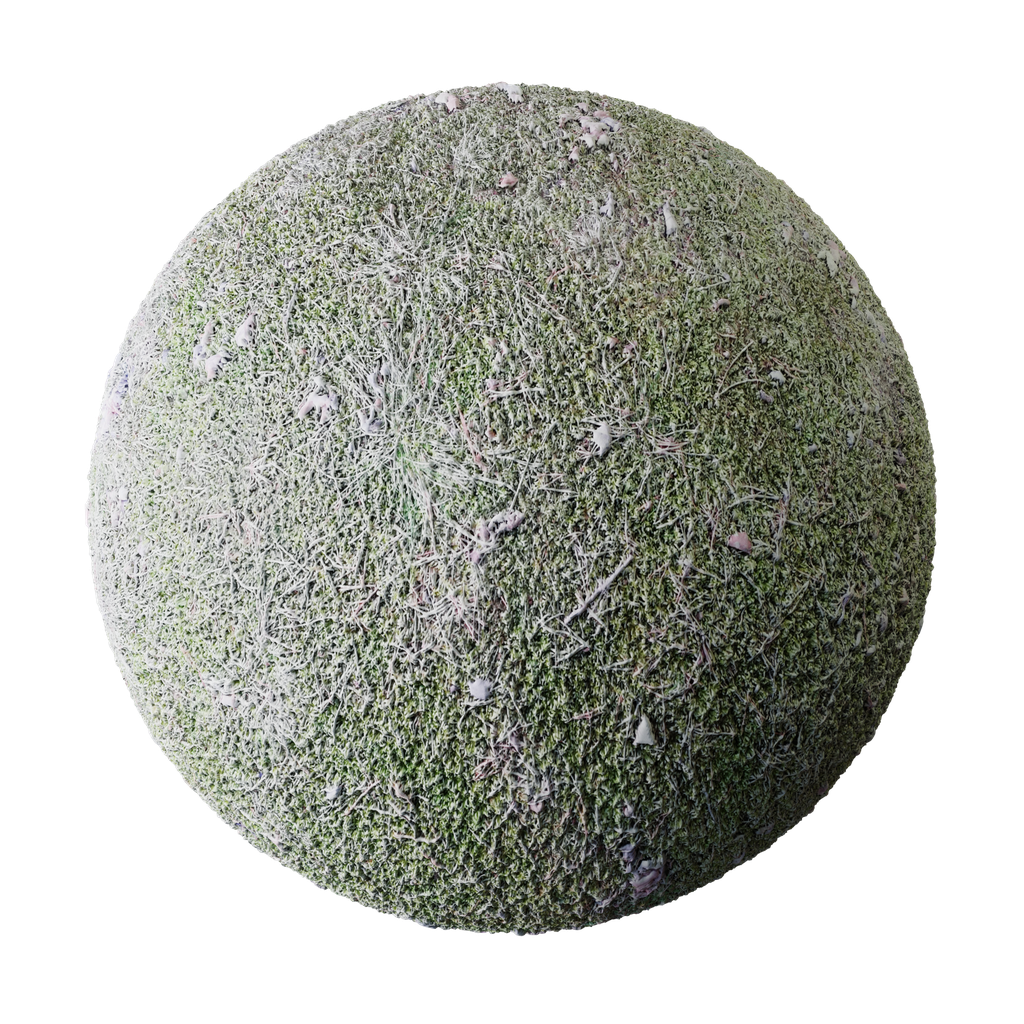 BlenderKit Download The FREE Forest Ground Material