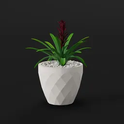 Red Bromeliad in White Pot