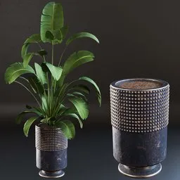 3D Blender model of Strelitzia reginae plant in luxurious textured pot for interior design visualization.