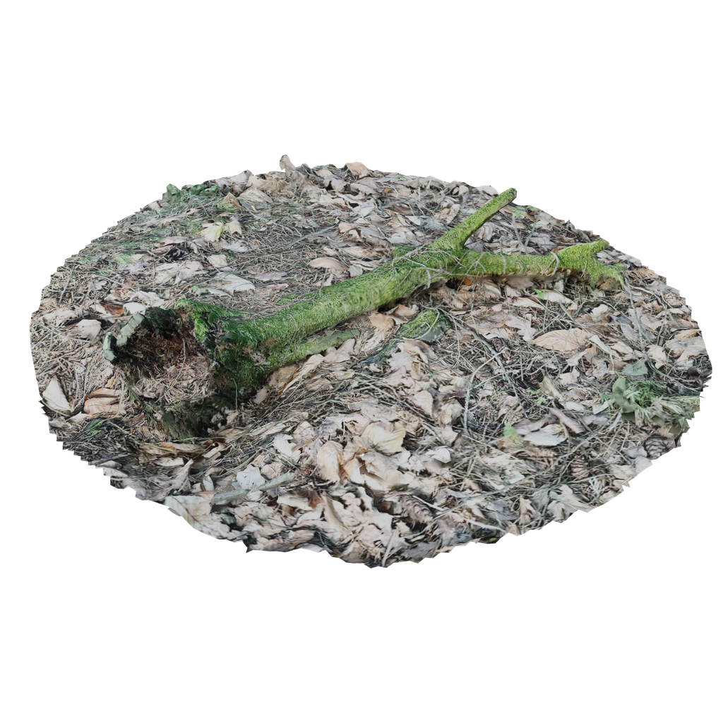 Fallen branch 3D Scanned | FREE Environment Elements models | Blendkit