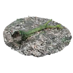 Fallen branch 3D Scanned