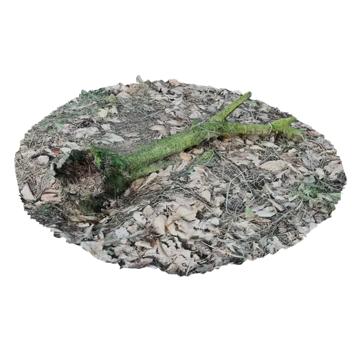 Fallen branch 3D Scanned