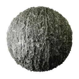 Coarse bark with fungal infestation