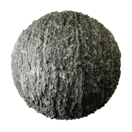 High-resolution PBR coarse bark texture with fungal patterns suitable for Blender 3D and other 3D applications.