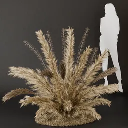 SJ- Pampas Calm Horizon Bush