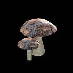Mushroom