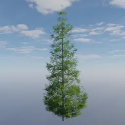 Detailed 3D model of a lush, short evergreen tree, suitable for Blender landscape designs.