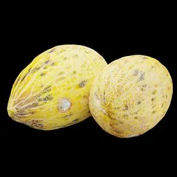 Galla melon