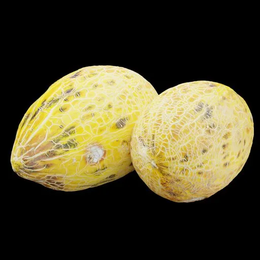 Galla melon