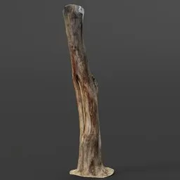 Realistic 3D tree trunk model with detailed textures suitable for Blender rendering and PBR workflows.