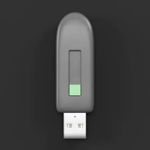USB Flash Drive