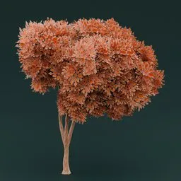 Orange leaved tree