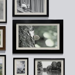 Photo frame 'anyframe' with a mushroom on a tree