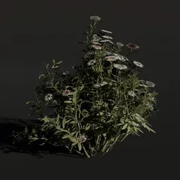 3D model of small, optimized aster flowers suitable for rendering in Blender.