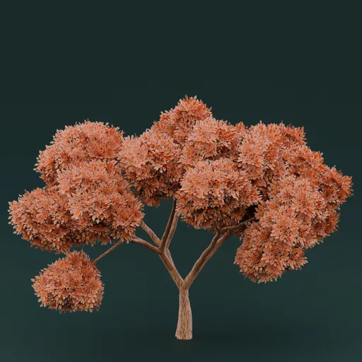 Orange leaved tree