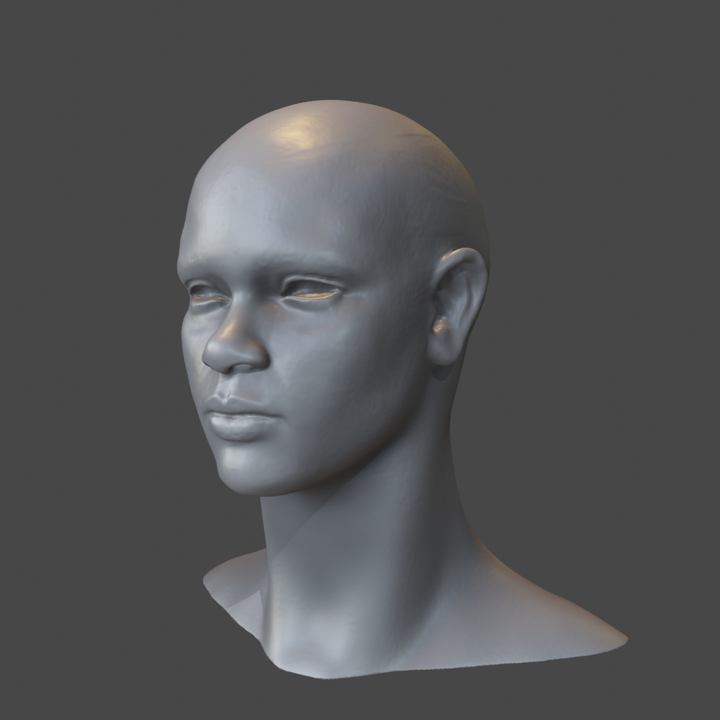 Detailed Female Head   African | 3D Head Models | BlenderKit