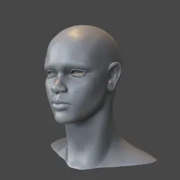 "3D model of a highly-detailed African female head for sculpting in Blender 3D. The untextured character model showcases a bald, androgynous figure with slend body and a flat triangle-shaped head. Create realistic faces with this stable diffusion AI model."