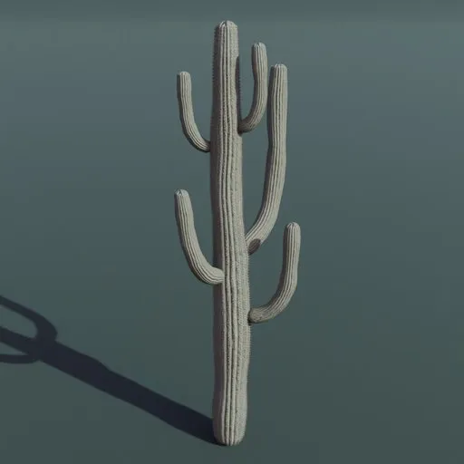 Plant Cactus Saguaro Dry Large