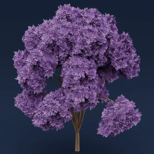 Purple flowered tree