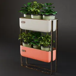 Realistic 3D-rendered indoor plant set with Petus Ablaq in a stylish orange and cream vase for Blender modeling.