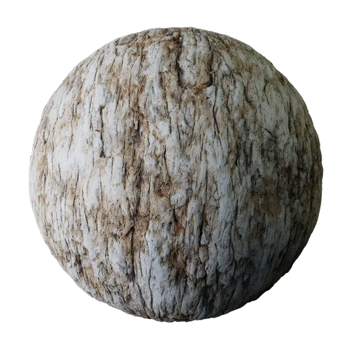 Tree Bark