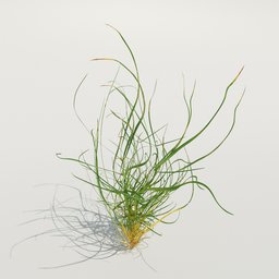 Grass strands small