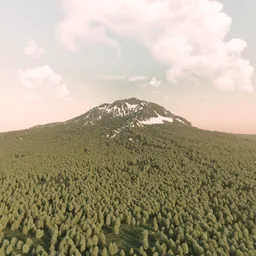 Mountain With Forest