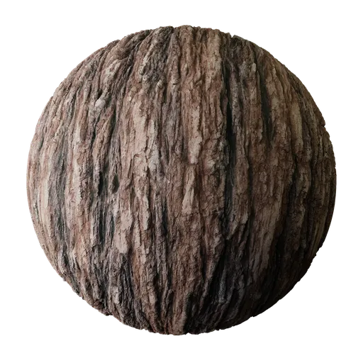 Tree Bark