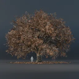 Oak Tree - Wide (Autumn)