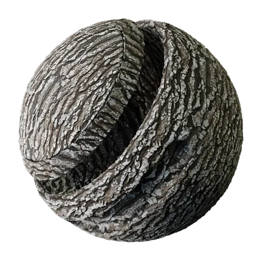 Seamless PBR tree bark texture for 3D rendering, offering versatile scaling, rotation, and color adjustments.