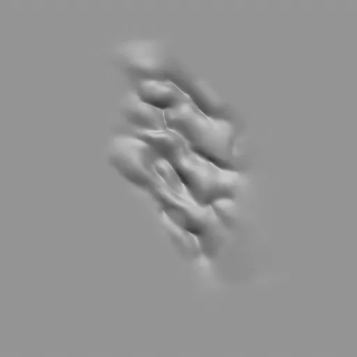 ER_Muscle brush 52