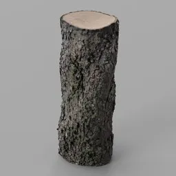 Oak Log remeshed photoscan