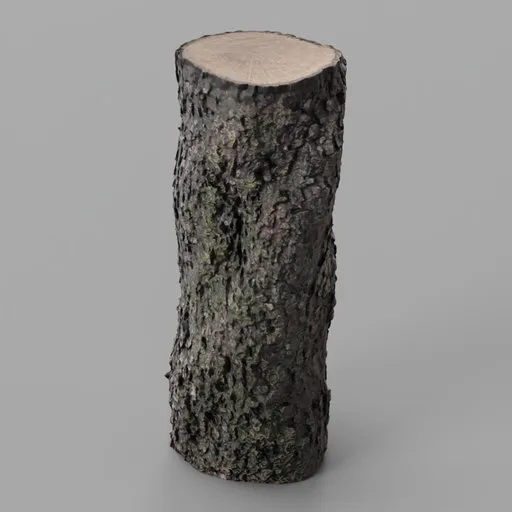 Oak Log remeshed photoscan