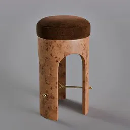 Burl Wood Counter Stool