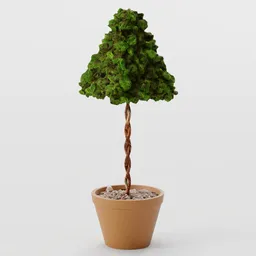 Bush - Standard Pyramid