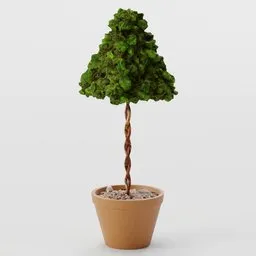 Bush - Standard Pyramid