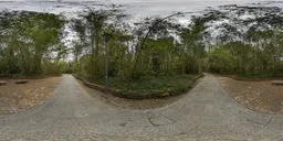 Overcast Bamboo Forest HDR