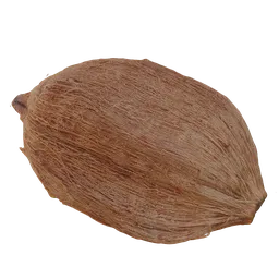 Coconut scan