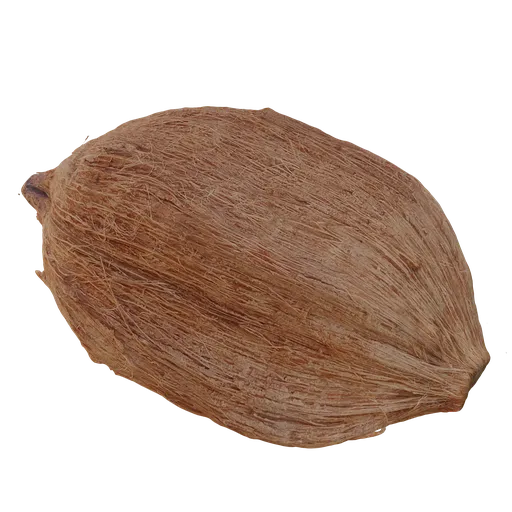 Highly detailed photorealistic coconut 3D model with textured surface for Blender rendering, ideal for environmental scenes.