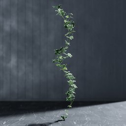 "Artificial garland Ivy white-green 3D model for Blender 3D - realistic indoor nature decor, editable stem and created using Geometry Nodes via Bagapie addon. Inspired by Alexander Stirling Calder's art with overgrown ivy plants and trending on Unsplash."