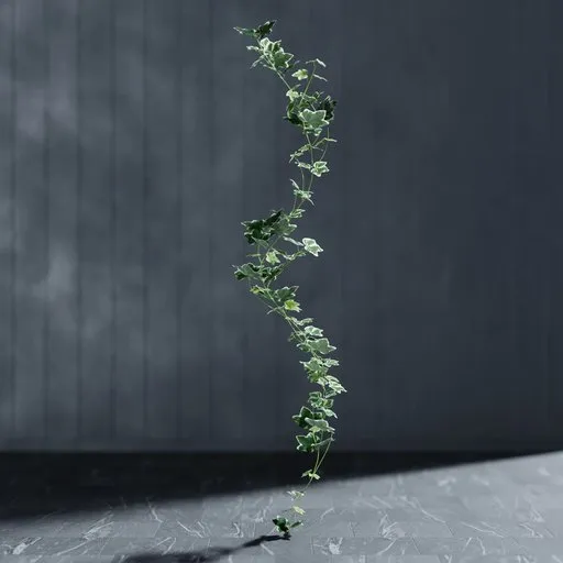 3D modeled white-green ivy strand with adjustable stem, created with Bagapie addon for Blender use.