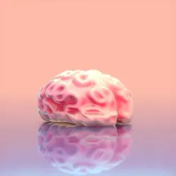 Human Brain