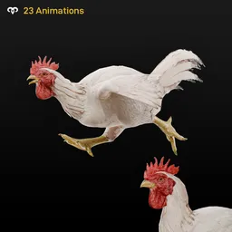 Rooster Animated