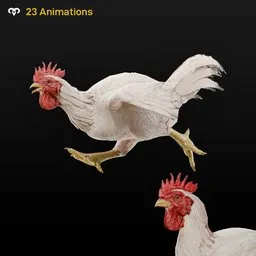Rooster Animated