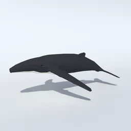 Low Poly Humpback Whale